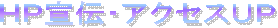 �L�����y�[�����T�C�g