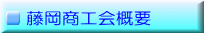 HTv