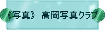 sʐ^t@ʐ^Nu
