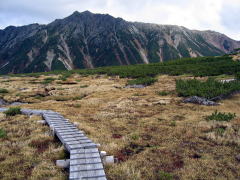 雲ノ平から水晶岳