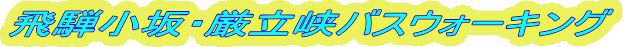 飛騨小坂・厳立峡バスウォーキング