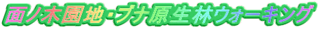 面ノ木園地・ブナ原生林ウォーキング
